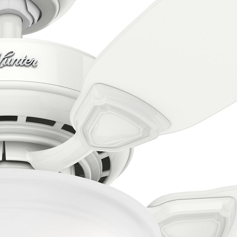 Hunter Fan 44" Auberville 5Blade Ceiling Fan & Reviews Wayfair